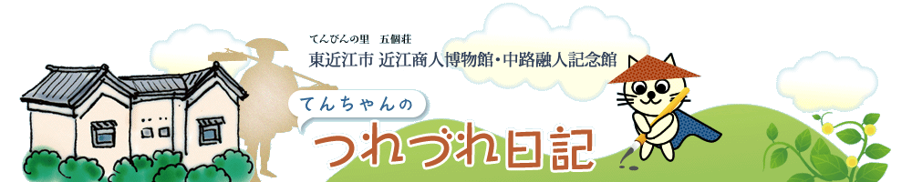 てんちゃんのつれづれ日記